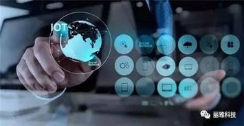 中國新創富風口正當時 移動互聯網服務與工業互聯網數據服務的機遇